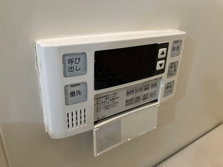 ヴェルドミールステラのその他画像
