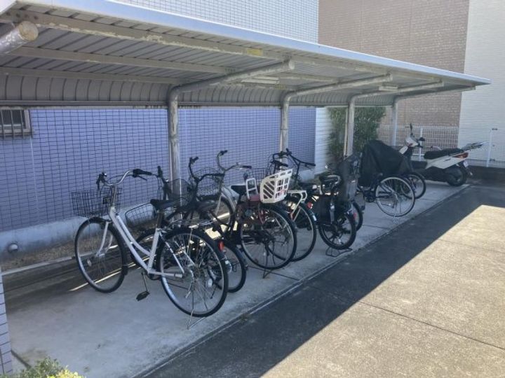 ヴェルドミールステラのその他画像