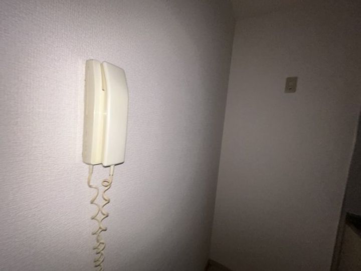 グリーンシャトレⅠ102のその他画像