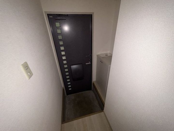 グリーンシャトレⅠ102の玄関