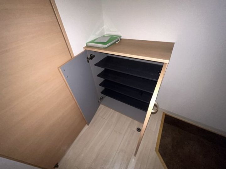 Lapisのその他画像
