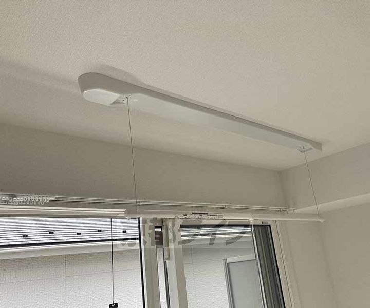 ノアのその他画像