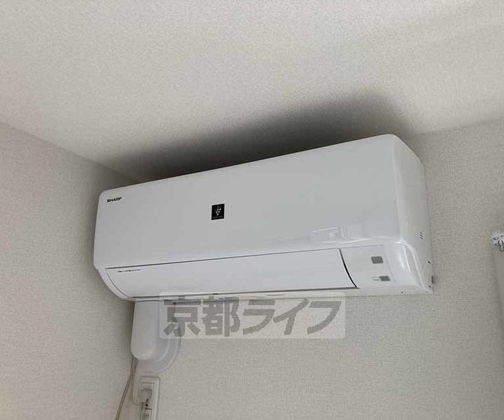 ノアのその他画像