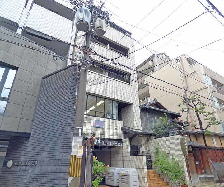 ピュアコート錦501の外観