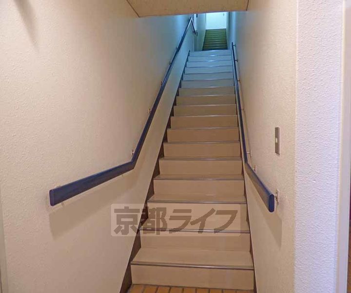 ピュアコート錦501のその他画像