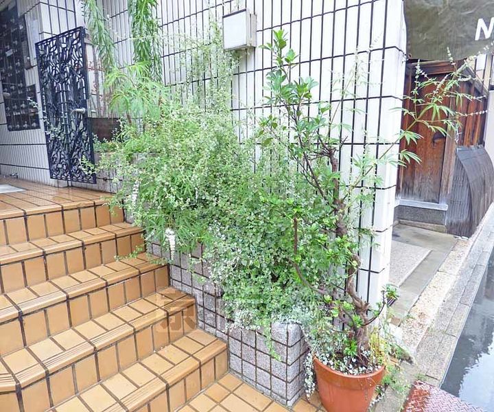 ピュアコート錦501のその他画像