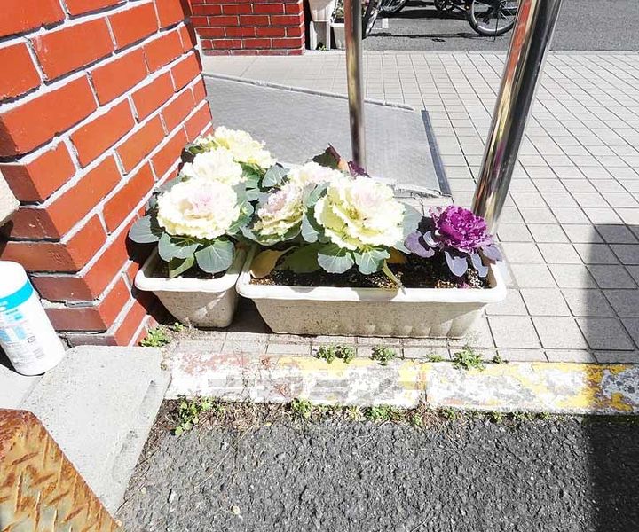 京都府京都市中京区錦大宮町の賃貸マンションのその他画像