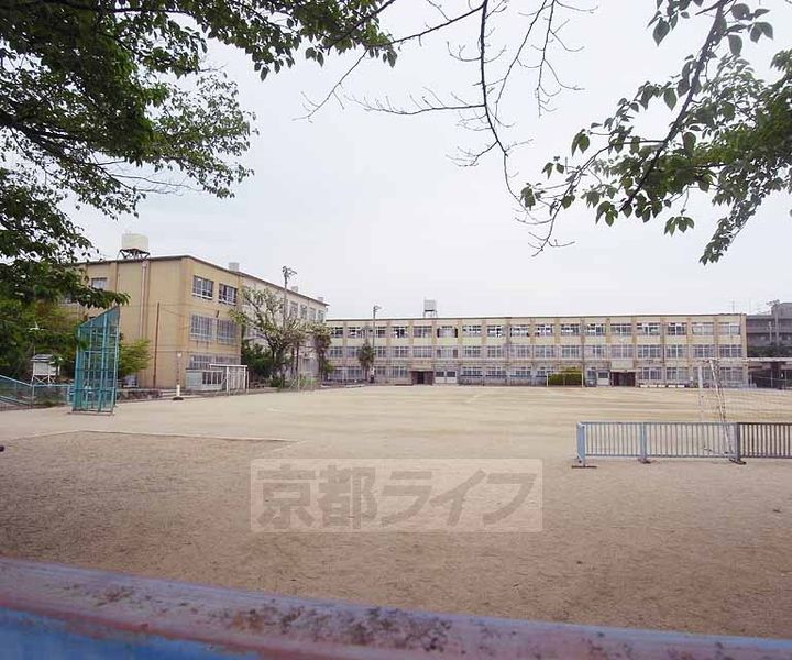 京都府京都市北区紫竹下芝本町の賃貸マンションの周辺