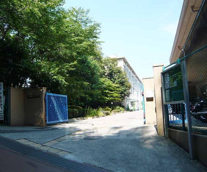 京都府京都市伏見区桃山町丹後の賃貸アパートの周辺