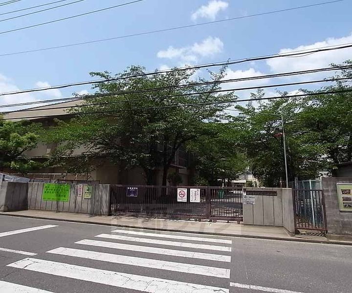 コティ コルミオ102の周辺