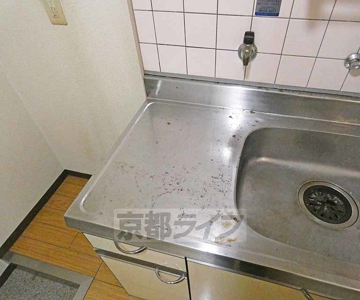 ACE in 向島308のキッチン