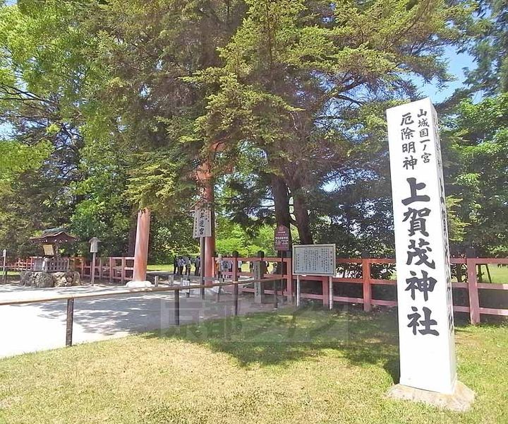アクアフォーレの周辺