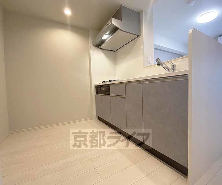 THE RESIDENCE 北白川205のキッチン