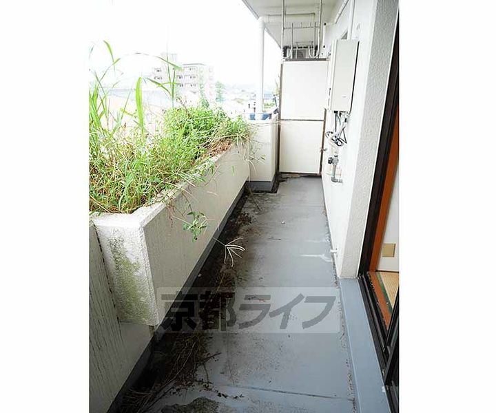 京都府京都市西京区牛ヶ瀬奥ノ防町の賃貸マンションの内装