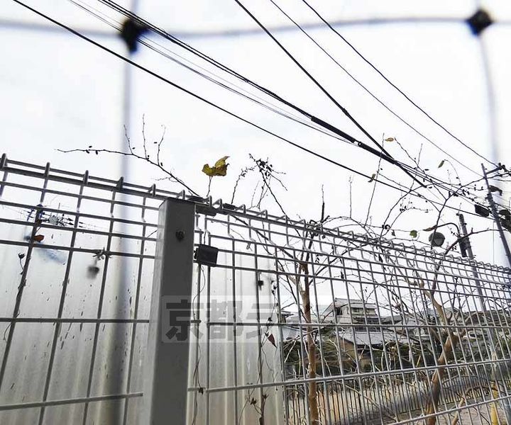 TO−Z2-Cのその他画像