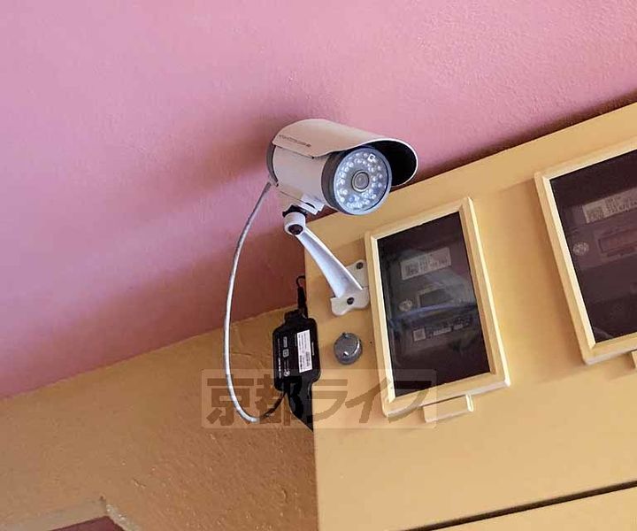 PINE TREEのその他画像