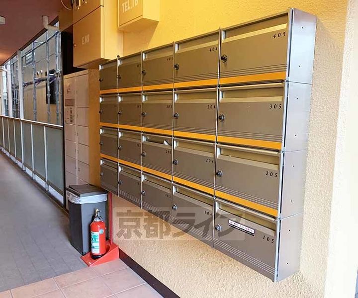 PINE TREEのその他画像