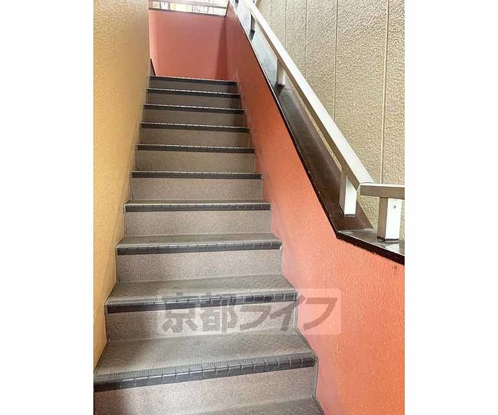 PINE TREEのその他画像