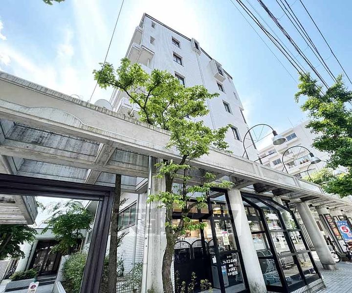 京都府京都市右京区嵯峨新宮町の賃貸マンションの外観