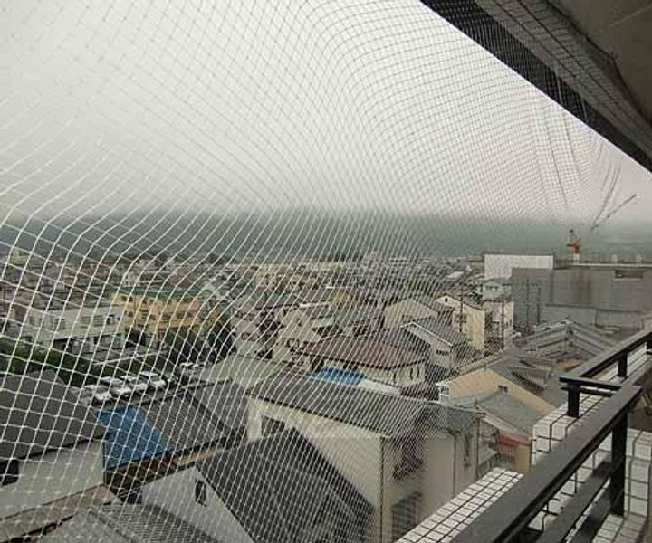 京都府京都市右京区嵯峨新宮町の賃貸マンションのその他画像