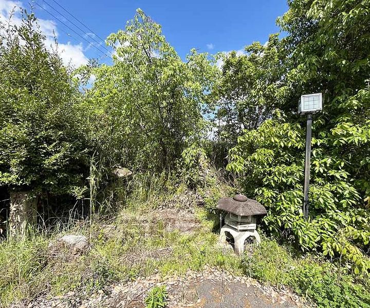 京都府京都市右京区嵯峨大覚寺門前堂ノ前町の賃貸マンションのその他画像