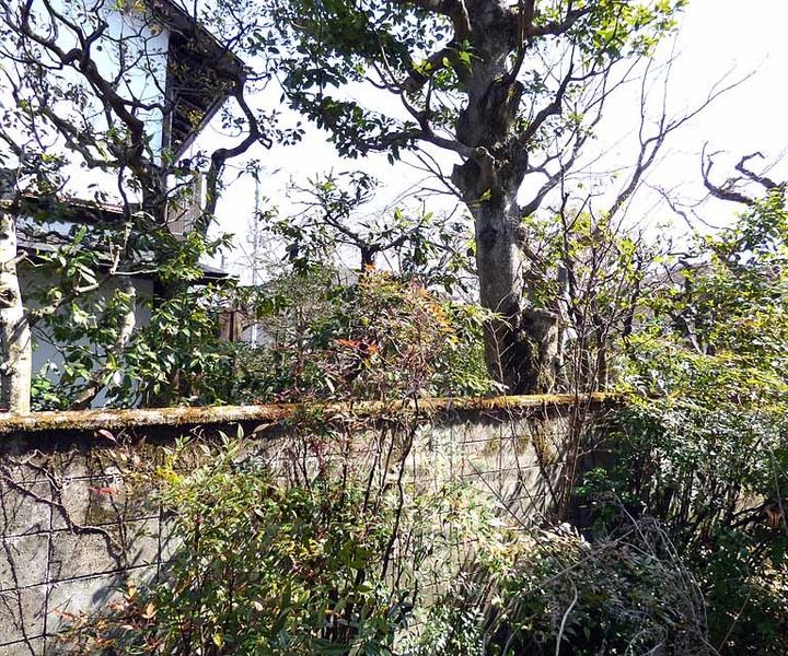 京都府京都市右京区嵯峨大覚寺門前堂ノ前町の賃貸マンションのその他画像
