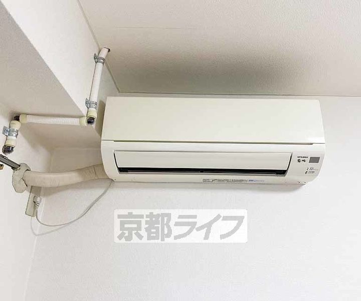エクセレントCOCOのその他画像