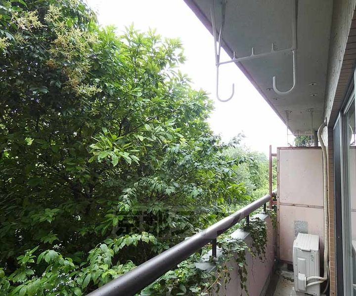 京都府京都市伏見区過書町の賃貸マンションのその他画像