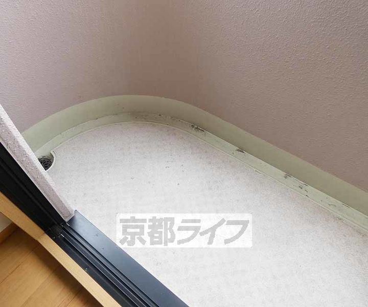京都府京都市伏見区桃山町丹後の賃貸マンションの内装