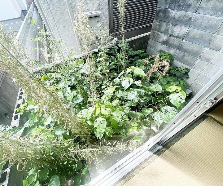 HOUSE SUGA105の内装