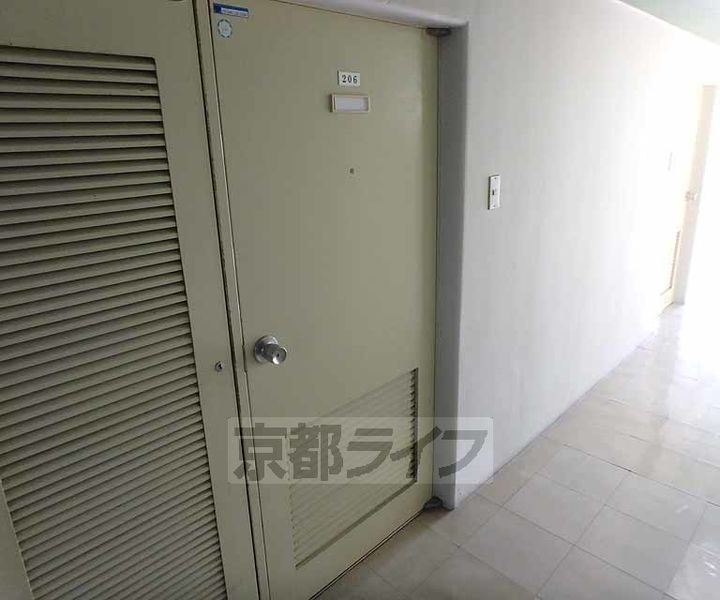 カツラ フラット206のその他画像