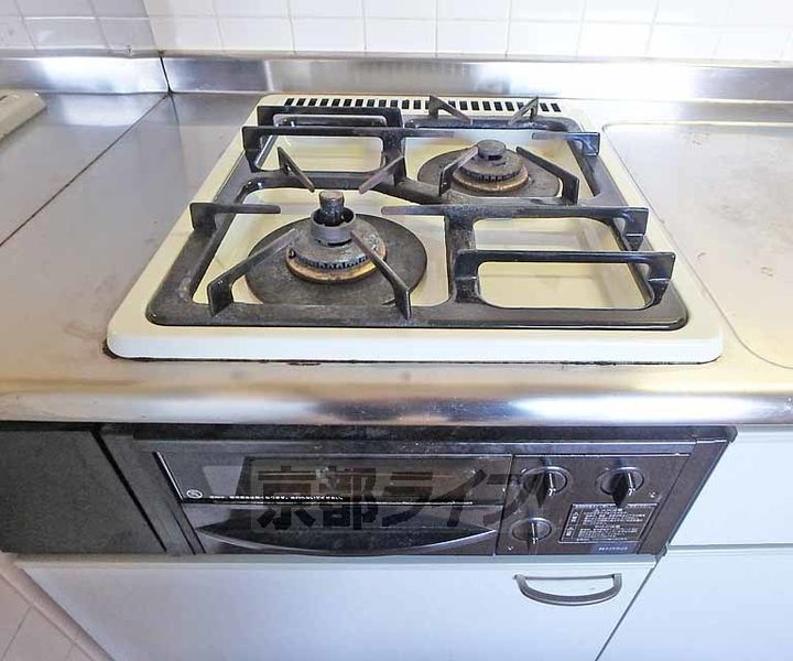 ルーミナス桂201のキッチン