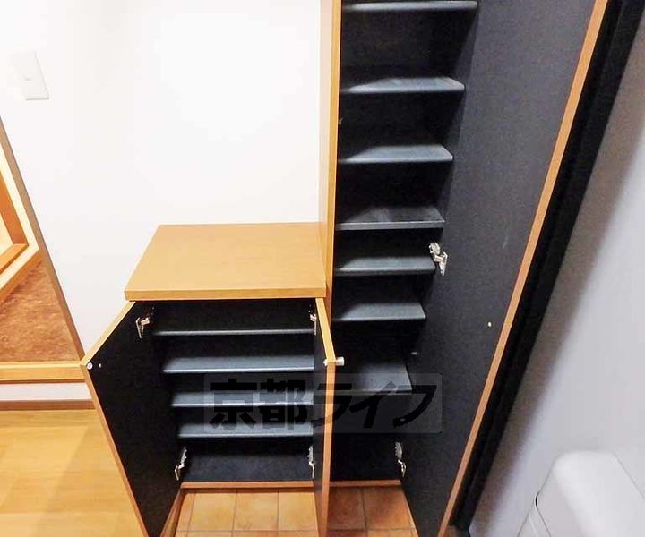 ルーミナス桂201の玄関