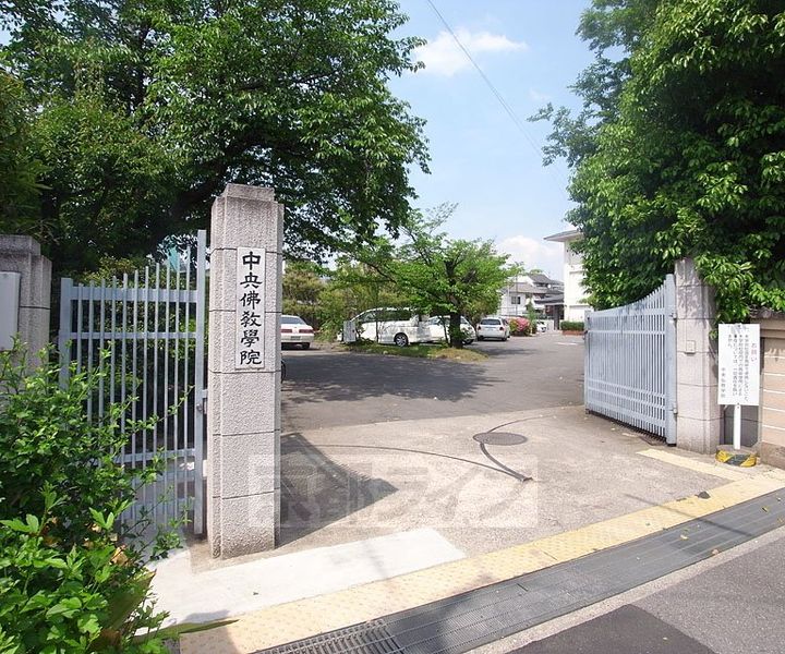 コジィ・ハイツ302の周辺