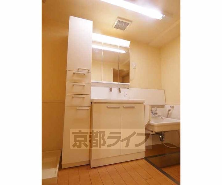 シュシュパルク六条院302の内装