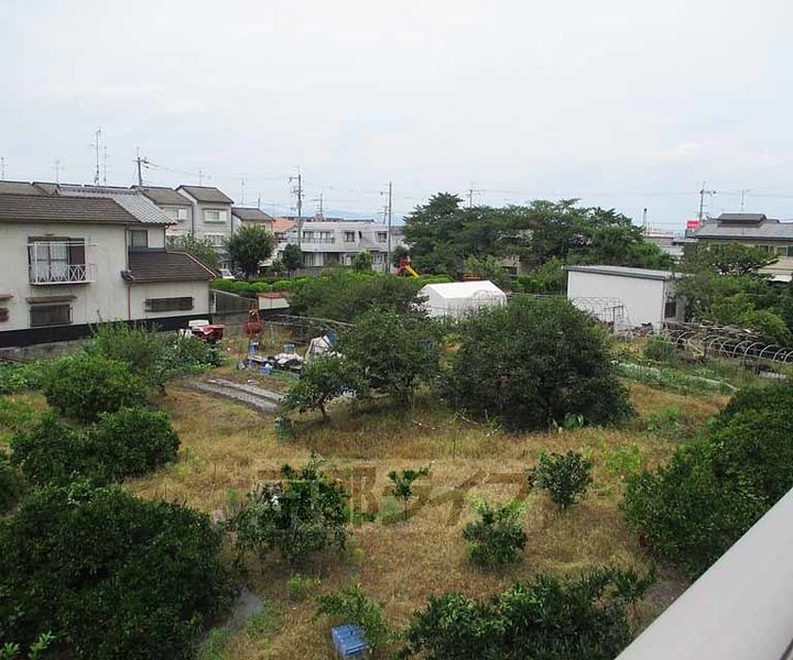 ローザンヌのその他画像