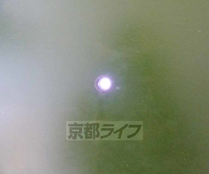 第29長栄グラン・ビュー下長者401の玄関