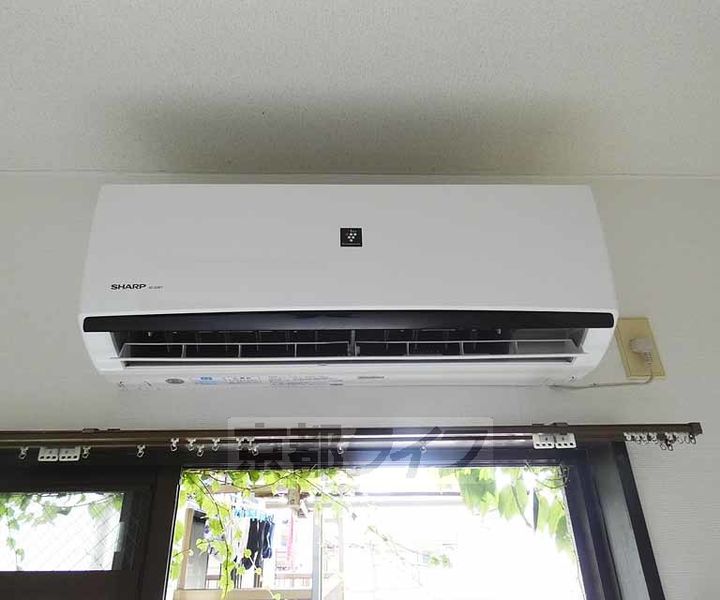 フローラルピンク1Dのその他画像