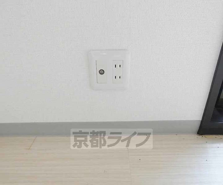 フローラルピンク1Dのその他画像