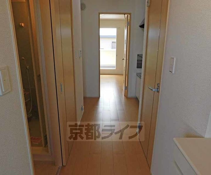 momoの樹のその他画像