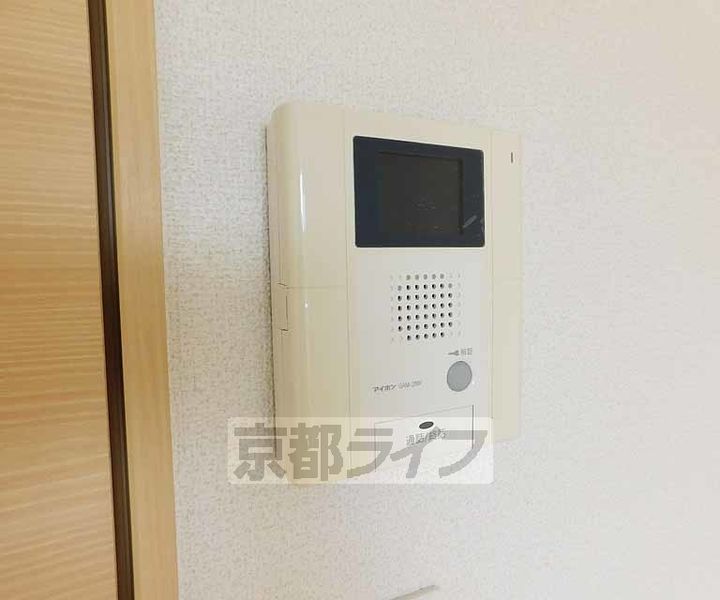 momoの樹のその他画像