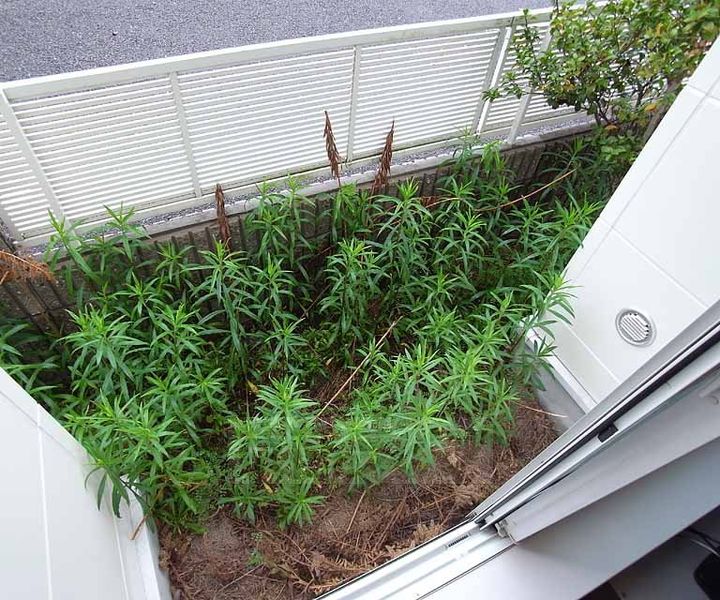 リベルテ木幡駅前の内装