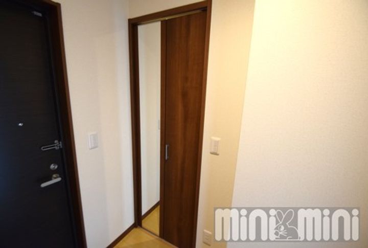 ANNEX Rainbow Tower701の玄関