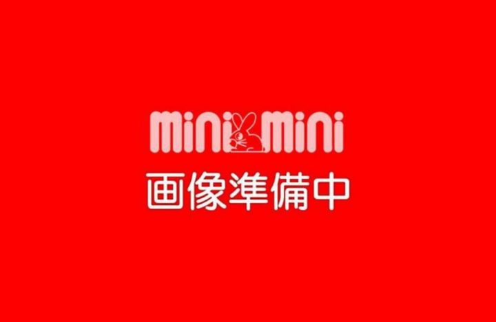 フレンドリー清水302の内装