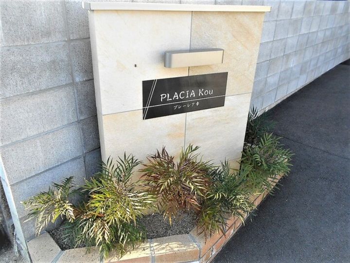 プレーシア幸103の玄関