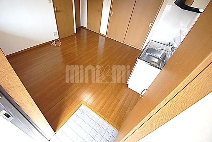 メゾン・ド・宮田202の玄関