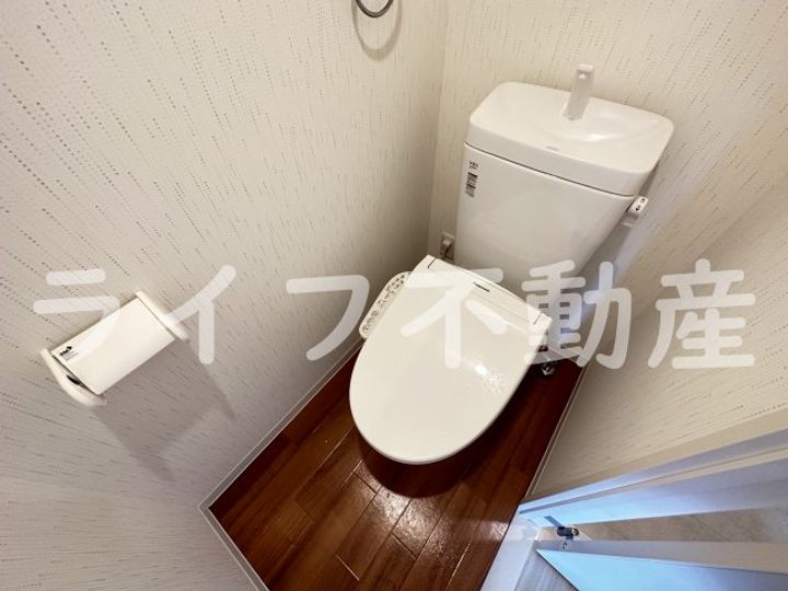 ネモフィラのその他画像