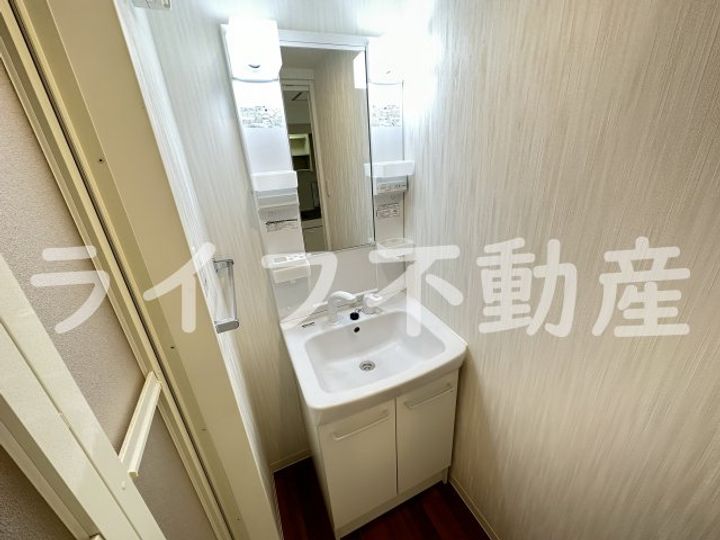 ネモフィラのその他画像
