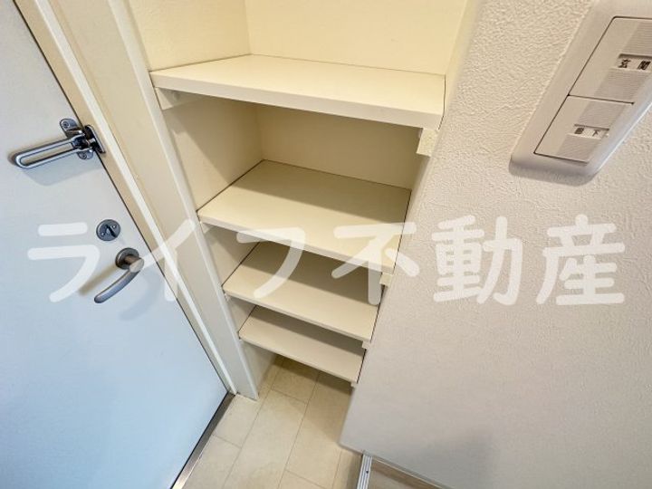 ネモフィラのその他画像