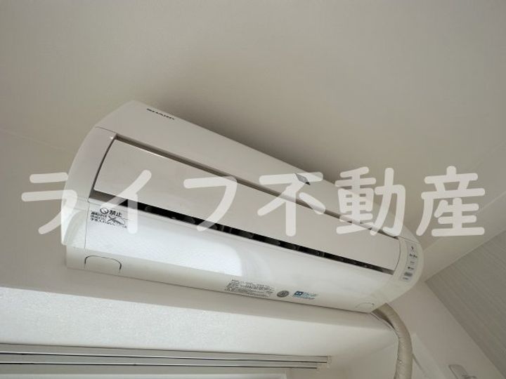 ネモフィラのその他画像